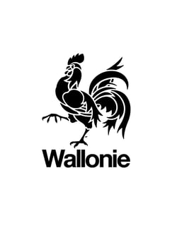 wallonie_v_nb